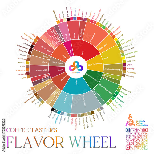 Interactive Coffee Taster_s Flavor Wheel - SCA photo