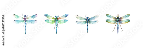 Watercolor dragonfly set. Vector illustration design. photo
