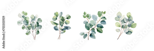 Watercolor eucalyptus set. Vector illustration design.