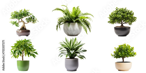 Set of Green plants in potted for interior decoration isolated on transparent png background, Houseplant for decorated in bedroom or living room, minimal natural health concept.