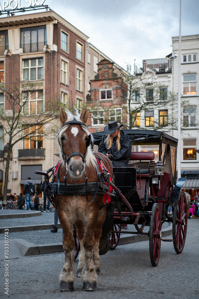 A walk through Amsterdam City