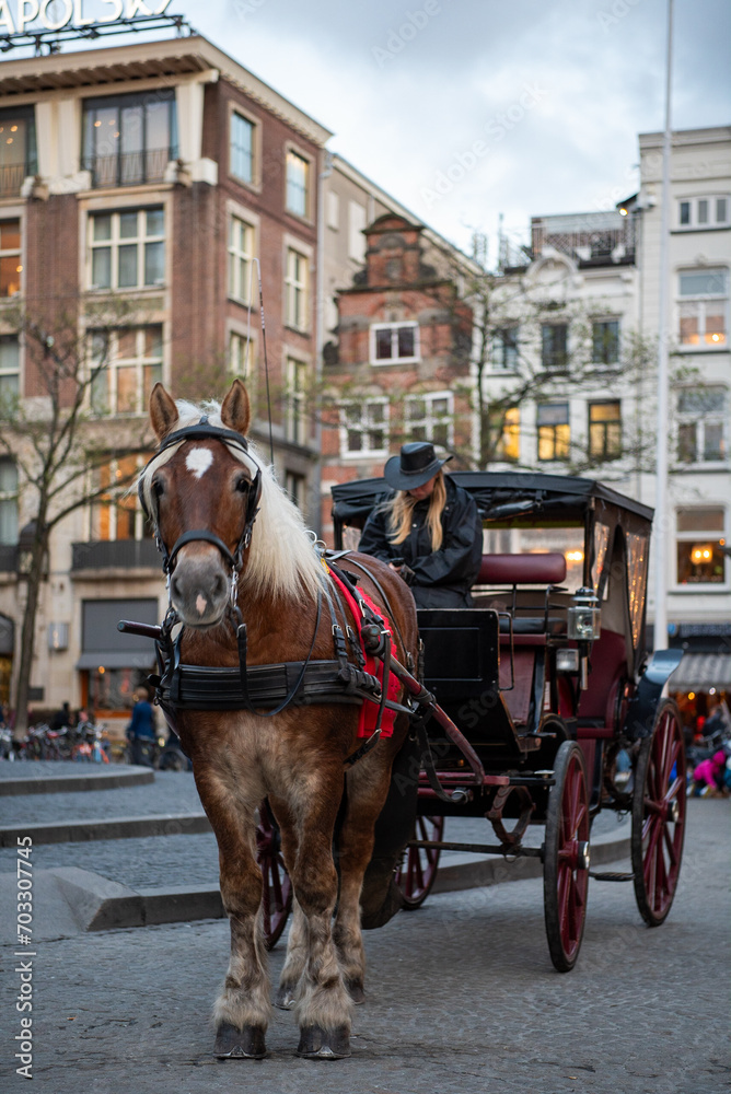 A walk through Amsterdam City