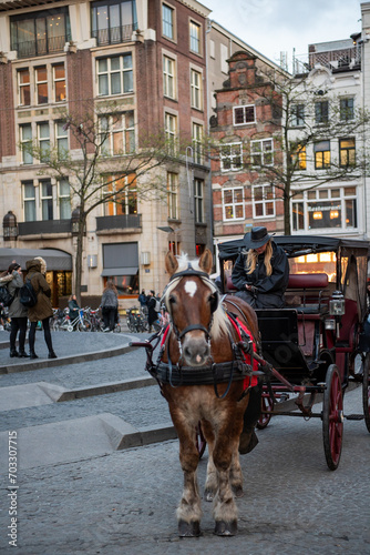 Horse ride in Amsterdam 