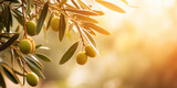 olive tree branches on blurred garden background