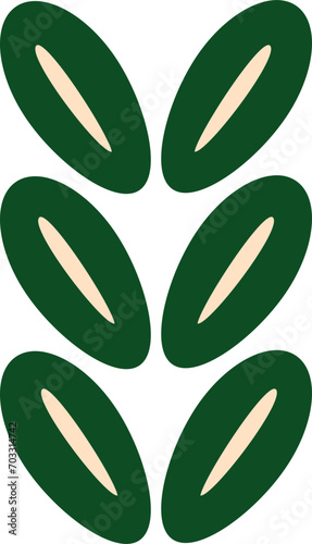Organic Boho Abstract Shape