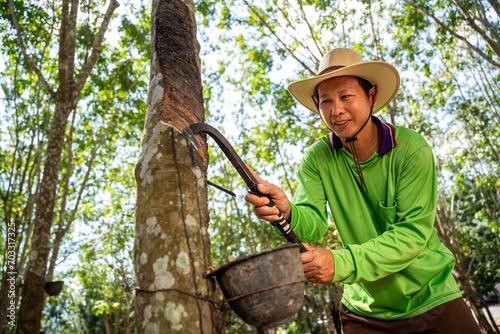 Asian happy rubber farmer is tapping rubber sap from many rubber trees in thailand. photo