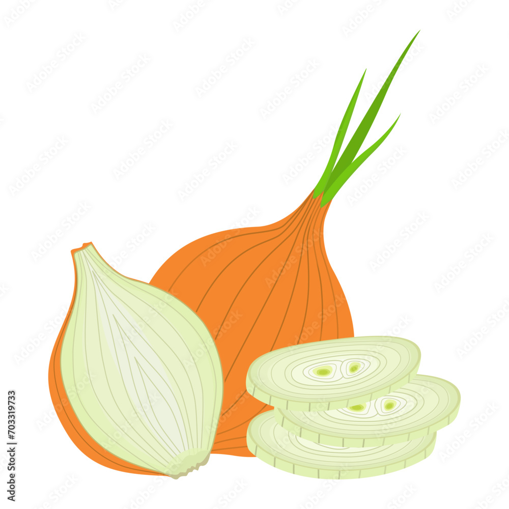 Onion isolated on a white background. Delicious ripe onion whole and pieces of slices. Flat style, cartoon design
​