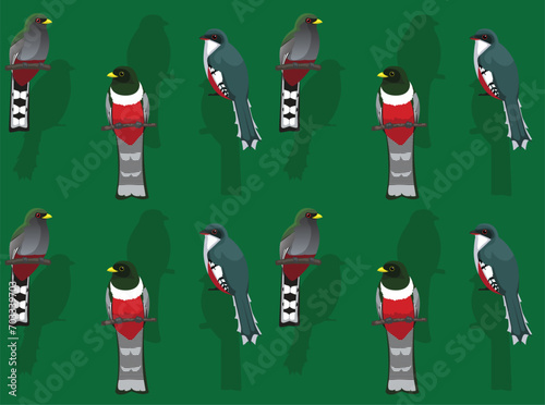 Bird Elegant Trogon Cute Seamless Wallpaper Background