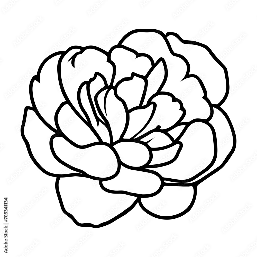 Hand drawn simple flower illustration Hand drawn simple flower illustration
