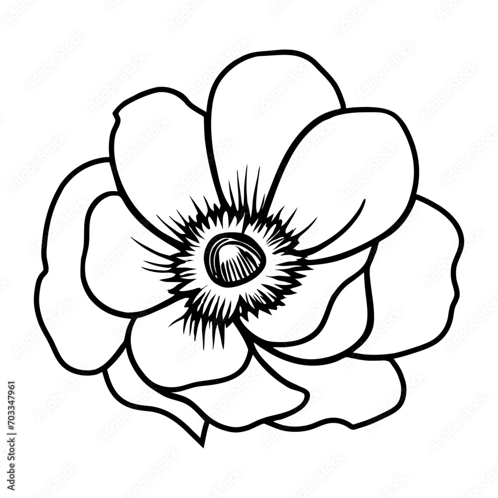Hand drawn simple flower illustration Hand drawn simple flower illustration