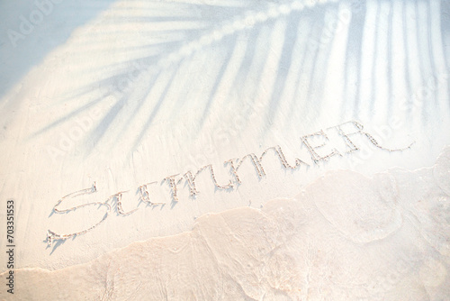 summer tropical travel holiday banner. sandy beach, shade of palm trees and waves on the waters edge; summer vacation banner concept with copy space