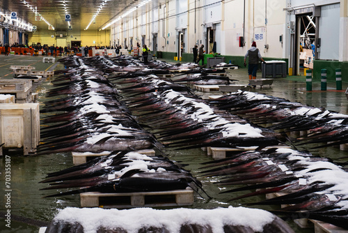 Vigo, Spain; 01-02-2024: Early morning scenes at Vigo's fishing port, showcasing the unloading of fish and the auctioning of the day's catch. Taken during the pre-dawn hours, the images offer a glimps photo