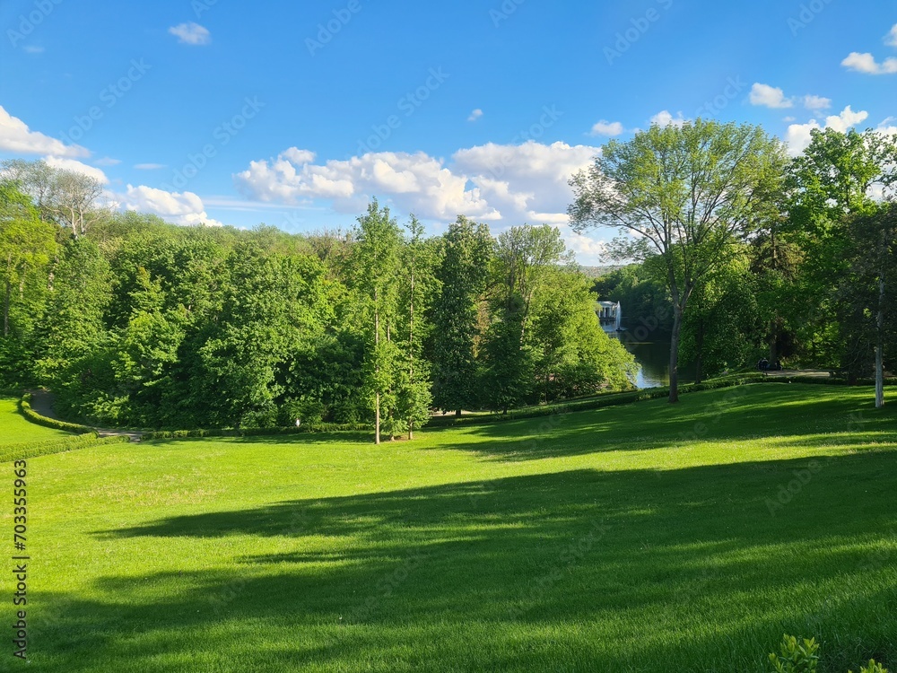 Naklejka premium grass and sky