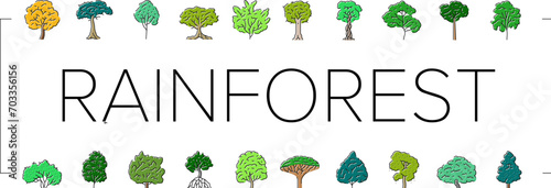 rainforest jungle amazon nature icons set vector. forest landscape, brazil tree, green asia, environment river, beautiful wild foliage rainforest jungle amazon nature color line illustrations