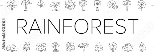 rainforest jungle amazon nature icons set vector. forest landscape, brazil tree, green asia, environment river, beautiful wild foliage rainforest jungle amazon nature black line illustrations