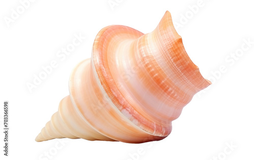 Genuine Photography Showcasing a Conch Shell on a Pure White Backdrop Isolated on Transparent Background PNG.
