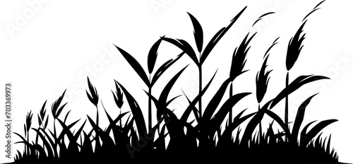 Vector silhouette of wheat. Silhouette. Wheat in the field on a white background. AI generated illustration.