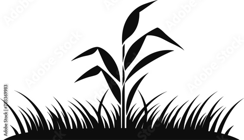 Vector silhouette of wheat. Silhouette. Wheat in the field on a white background. AI generated illustration.
