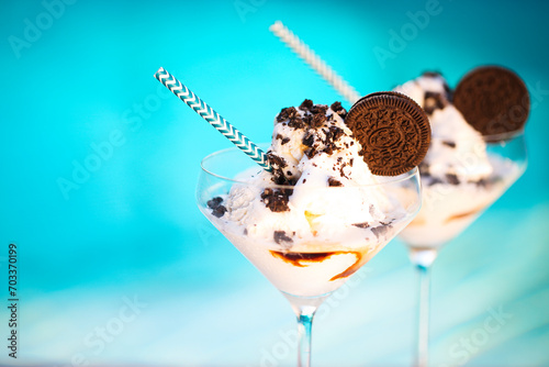 Vanilla ice cream with chocolate sauce and cookies photo