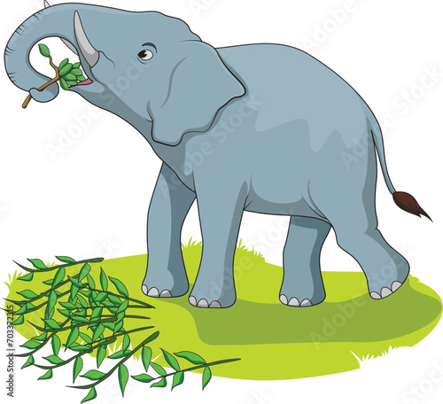 Cute elephant eating leaves