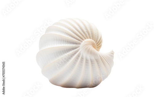 Capturing the Sublime Essence of a Moon Shell in a Breathtaking Photograph Isolated on Transparent Background.