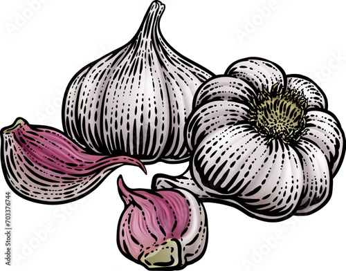 Garlic Vegetable Vintage Woodcut Illustration