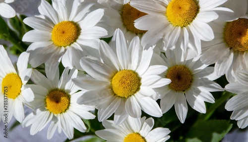 pattern of large daisies of different sizes