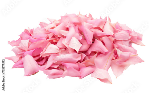 Real Photo of Pink Lily Petals Isolated on Transparent Background Isolated on Transparent Background.