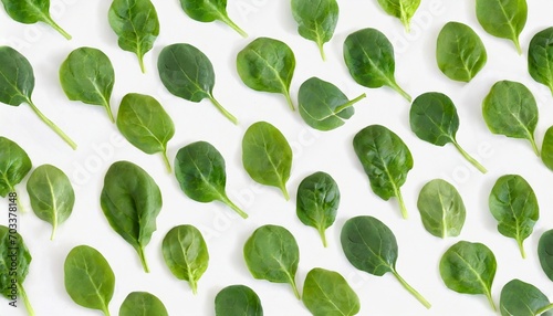 spinach pattern background on white top view