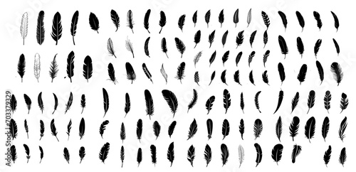 mega set of silhouette outline of feathers. simple bird feathers.