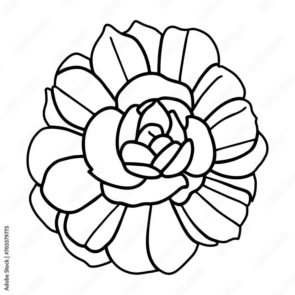 Hand drawn simple flower illustration Hand drawn simple flower illustration