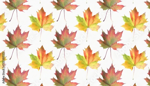 banner autumn pattern maple leaf bright on white background