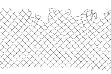 The texture of the metal mesh. Torn, destroyed, broken metal mesh on a white background
