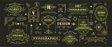 Vintage elements, logo retro isolated frames and decorative objects. Flourish ribbons, ornament, ornate decoration, fancy label, sign text typographic, antique badge. Vector classic luxury frame