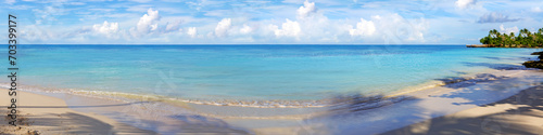 Panorama of caribbean tropical beach with palm trees, white sand and turquoise blue water. © Swetlana Wall