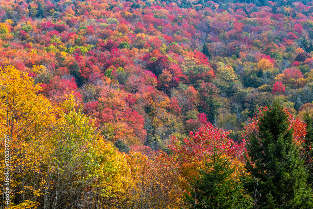 The Highland Scenic Highway is a designated National Scenic Byway The Highland Scenic Highway is a designated National Scenic Byway