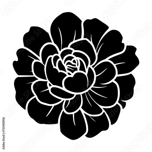 Hand drawn simple flower illustration