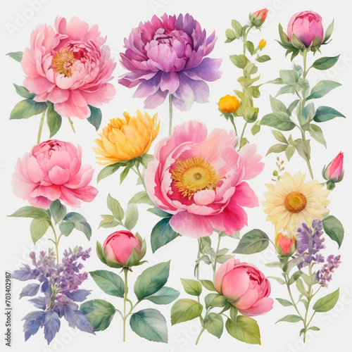 set of watercolor painted flowers © Алена Харченко
