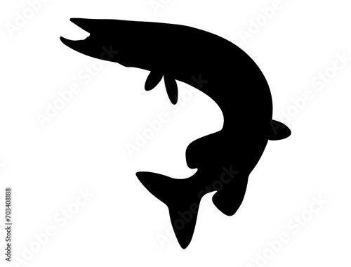 Northern pike fish silhouette vector art white background photo