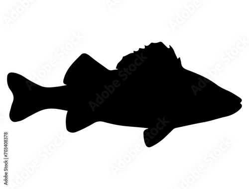 Perch fish silhouette vector art white background