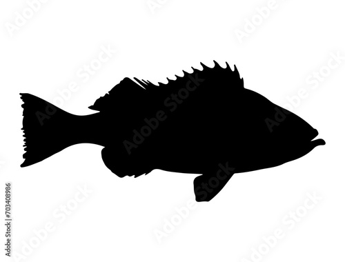 Perch fish silhouette vector art white background