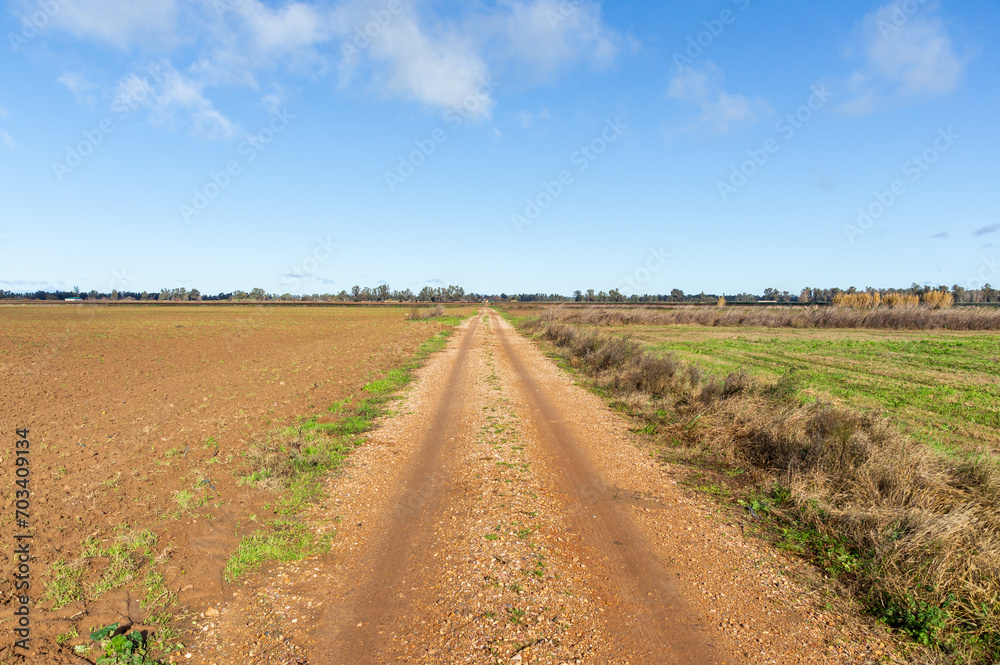 Harvest Horizon: Walking Through Fields of Crop. Harvest Horizon: Walking Through Fields of Crop.