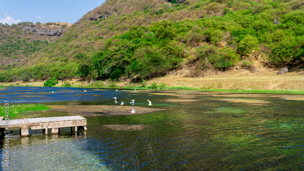 Wadi Darbat in the Dhofar region of Oman Wadi Darbat in the Dhofar region of Oman