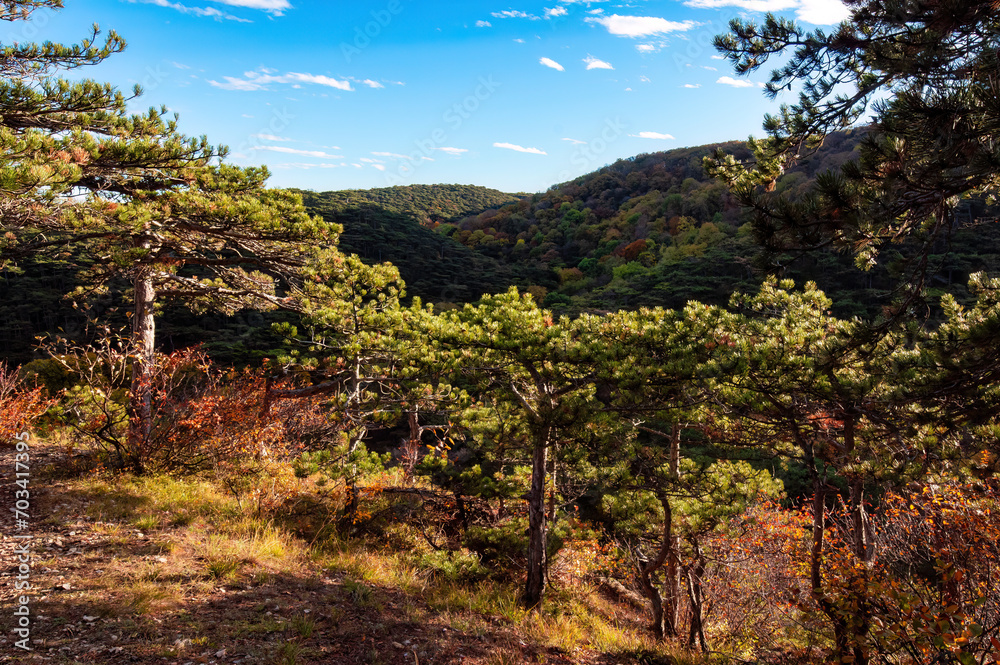 Landscape in the Wienerwald, Austria