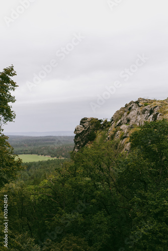 view of a hill and forest