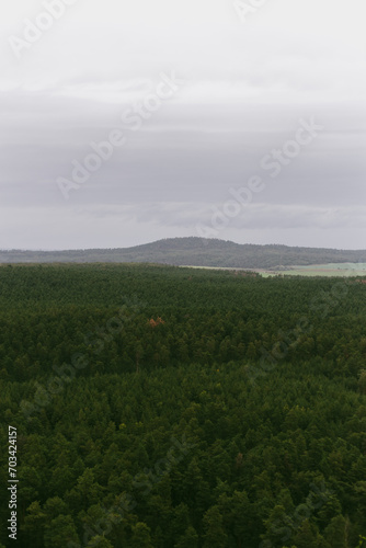 landscape with forest and hills