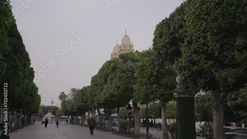 Avenue Ave Habib Bourguiba Tunis, Tunisia City Centre Tree-lined Central Walkway Pedestrian Walk photo