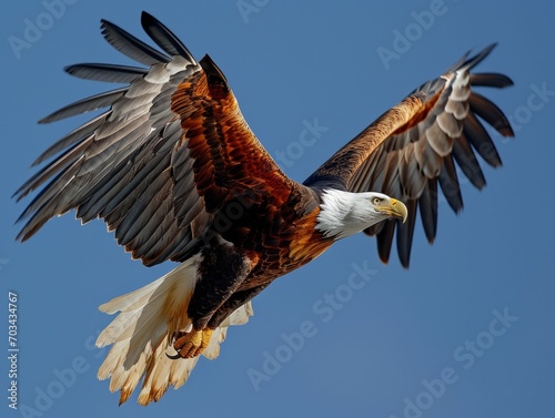 African fish eagle soaring gracefully across a clear blue sky, its distinctive white head and sharp beak clearly visible. © Kanisorn