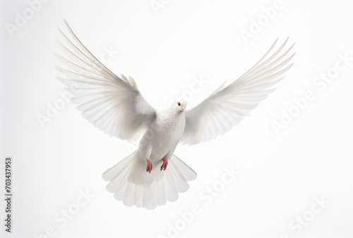 A white dove flying isolated on a white background