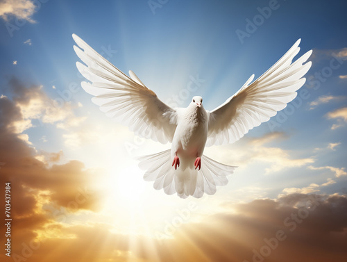 A white dove flying in a sunny sky